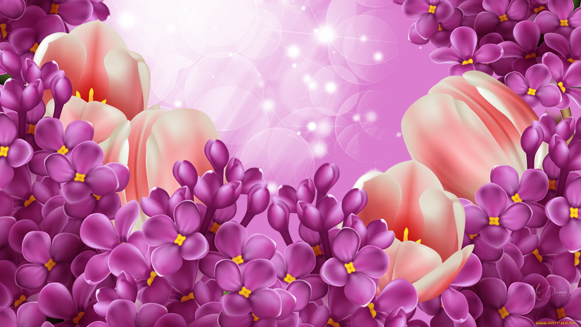  ,  , flowers, , 